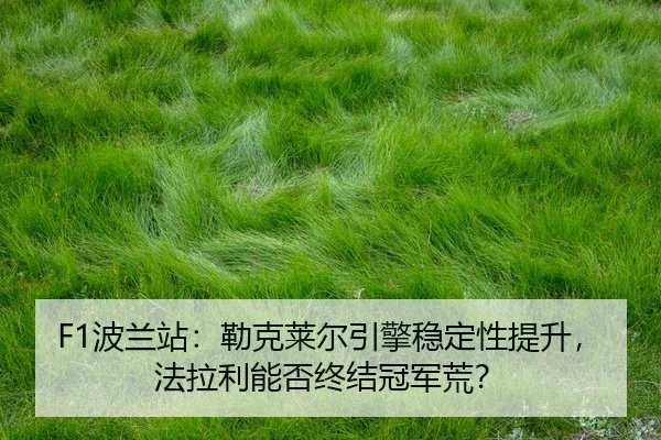 bo-lan-zhan-lei-ke-lai-er-yin-qing-wen-ding-xing-ti-sheng-fa-la-li-neng-fou-zhong-jie-guan-jun-huang-2-402.jpg
