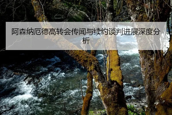 阿森纳厄德高转会传闻与续约谈判进展深度分析