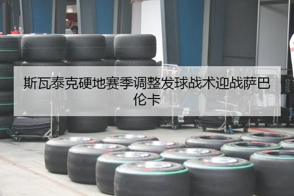 si-wa-tai-ke-ying-di-sai-ji-tiao-zheng-fa-qiu-zhan-shu-ying-zhan-sa-ba-lun-ka-2-289.jpg
